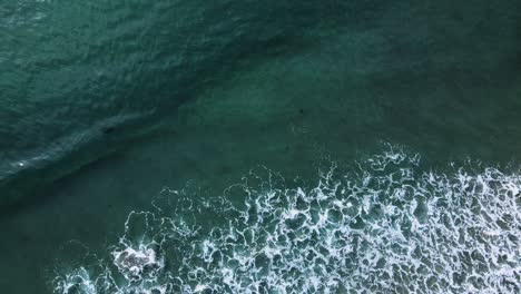dark-green-and-clear-water-in-Carlsbad,-drone-view-4k