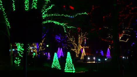 Handheld-shot-of-Niagara-Falls,-Canada-at-night,-winter-festival-of-lights-trees
