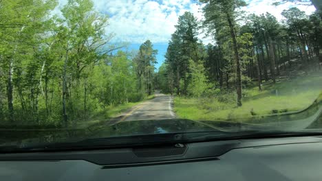 driving-through-twisty-single-lane-mountain-road-in-sunny-forest