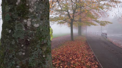 Construction-worker-walks-along-a-footpath-covered-with-autumn-leaves-during-a-very-foggy-morning