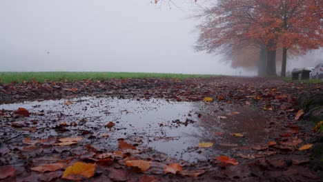 A-muddy-puddle-on-a-footpath-with-red,-autumn-leaves-during-a-foggy-morning