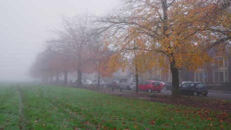 Ein-Nebliger-Herbsttag-In-Einem-Park-Bei-Einem-Wohngebiet