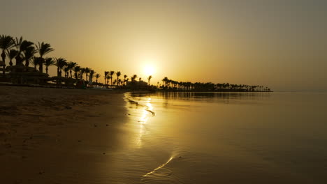 Wunderschöner-Ägypten-Sonnenaufgang-Mit-Silhouetten-Von-Palmen-Am-Strand,-60-Fps