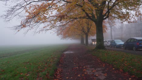 Foggy-autumnal-morning-in-a-residential-park,-a-council-vehicle-drives-by