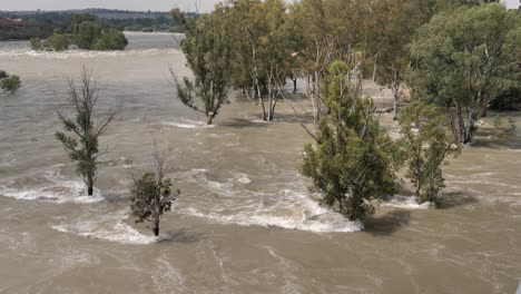 Überschwemmungen-Des-Südafrikanischen-Vaal-Flusses-überfluten-Die-Ufer-In-Küstenbäume