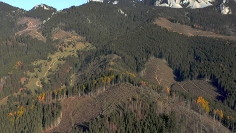 Luftneigung-Nach-Oben,-Die-Kalksteinfelsen-Der-Hasmas-Berge,-Rumänien,-Enthüllt