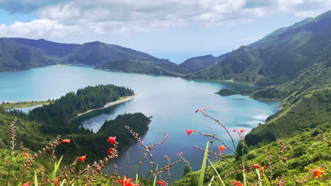 Flores-Frente-Al-Lago-Del-Cráter-Lagoa-Do-Fogo-En-Las-Hermosas-Azores