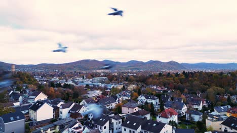 Birds-flying-playfully-in-formation-in-the-skies-over-Bad-Godesberg,-Germany-on-a-cool-Autumn-day,-while-flirting-up-close-with-the-camera