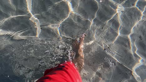 Hochwinkelige-Persönliche-Perspektive-Männlicher-Beine-Und-Füße-Und-Rote-Badebekleidung,-Die-In-Kristallklarem,-Seichtem-Meerwasser-Spazieren-Gehen