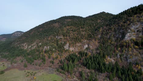 Mountain-panorama-in-Autumn-with-pine-trees-and-yellow-foliage-in-Europe