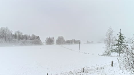 Landwirtschaftsfelder,-Die-In-Reinem-Weißem-Schnee-In-Ländlicher-Landschaft-Bedeckt-Sind,-Drohnenansicht-Aus-Niedrigem-Winkel