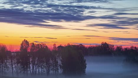 Golden-sunrise-with-low-lying-fog-along-the-ground---time-lapse