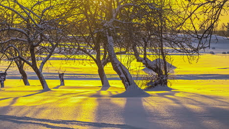Golden-Sunlight-Illuminated-Through-Snowscape-Countryside.-Timelapse