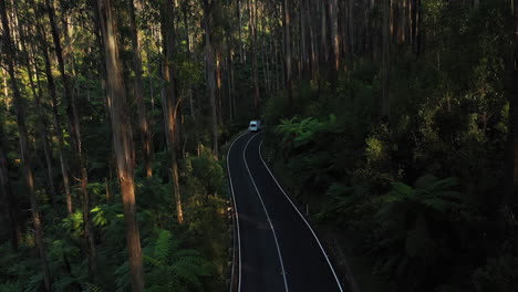 Slow-aerial-view-of-white-van-driving-through-a-forest-on-a-road,-Australia