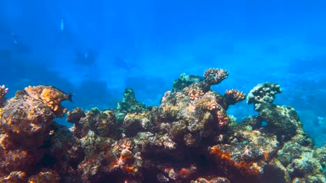 Unterwasser-4K-HDR-Des-Great-Barrier-Reef-In-Queensland,-Australien-Im-Dezember-2022