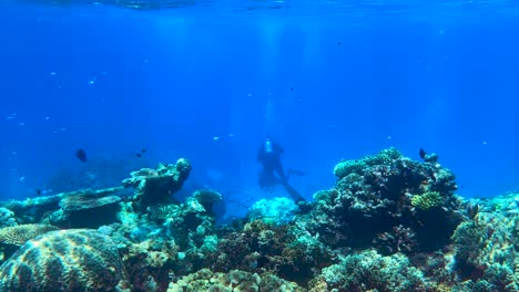 Underwater-4K-HDR-of-the-Great-Barrier-Reef-in-Queensland,-Australia-in-December-2022