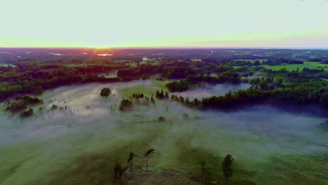Aerial-drone-backward-moving-shot-over-lush-green-fields-and-forest-under-blue-sky-at-sunrise-over-the-horizon