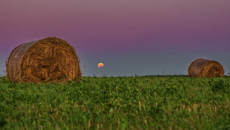 Two-big-haystacks-on-green-grassland-in-the-night-with-purple-and-pink-sky