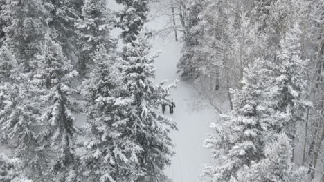 2-people-walking-on-a-frozen-forest-trail-from-above