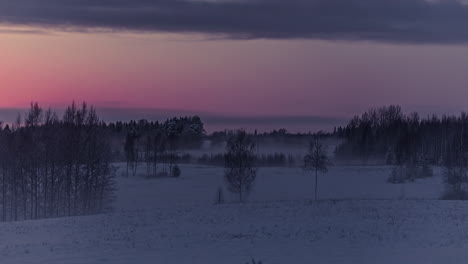 Timelapse-of-grassland-with-trees-covered-in-snow-on-sunset