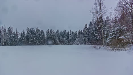 Clearing-in-the-forest-during-a-winter-snowstorm---daytime-time-lapse