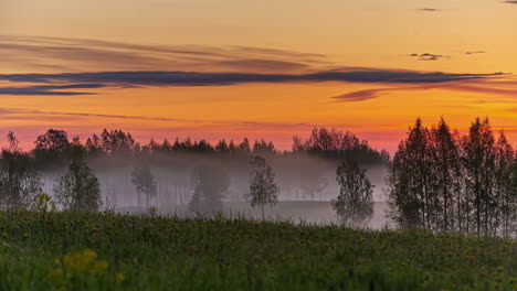 Low-lying-fog-in-the-valley-in-the-trees-during-a-golden-sunrise---time-lapse