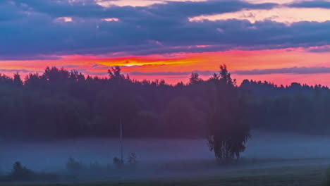 Statische-Aufnahme-Des-Sonnenaufgangs-Durch-Dunkle-Wolken-Im-Zeitraffer-über-Dem-Birkenwald-Im-Frühen-Frühling-Mit-Nebelbewegung-Während-Der-Morgenzeit