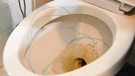 Static-video-of-a-white-caucasian-cleaning-out-a-dirty-white-porcelain-toilet-bowl-with-a-bristle-brush-and-blue-toilet-cleaner