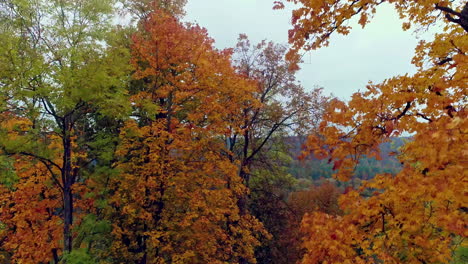 Landschaft-Mit-Farbenfrohen-Bäumen-Und-Fließendem-Fluss-Während-Der-Herbstsaison