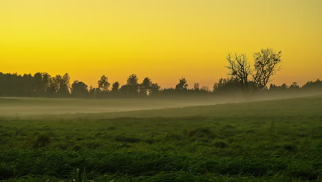 Low-Foggy-Clouds-Engulfing-Green-Grass-Meadows-On-Sunrise