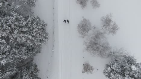 2-people-walking-through-a-frozen,-winter-forest-from-above