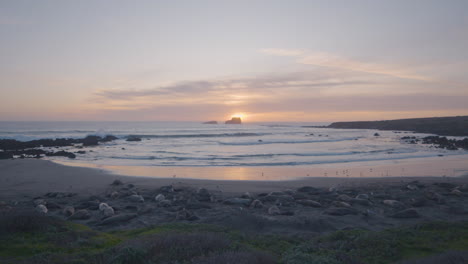 Time-lapse-of-Elephant-seals-laying-on-Vista-Point-Beach-as-the-sun-sets-in-the-background-located-in-California
