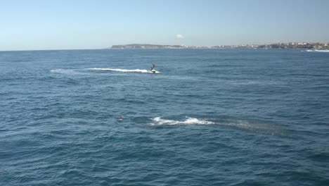 Humpback-Whale-Watching-off-Sydney-Northern-Beaches-Coastline-at-Longreef-Headland