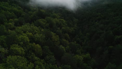 Drone-Viajando-Sobre-Bosques-Y-Nubes