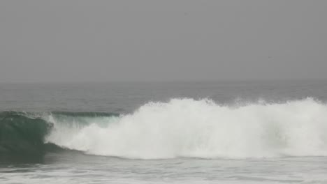 Ein-Surfer-Paddelt-Und-Fängt-Eine-Welle-Und-Reitet-Aus-Dem-Bild-Heraus-Nach-Rechts