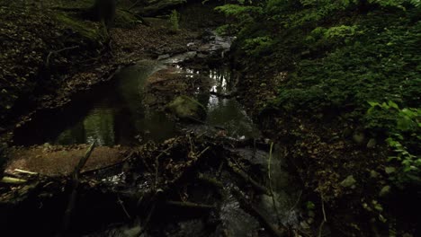 Fallen-tree-over-a-flowing-creek