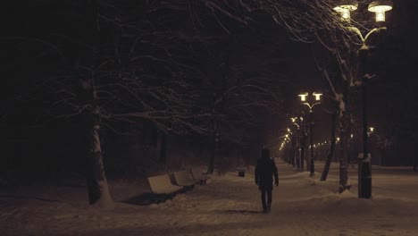 Hooded-person-walking-forward-with-his-back-to-the-camera-in-a-snowy-park-under-the-light-of-street-lamps-at-night