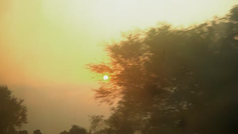 Sonnenflair-Durch-Bäume-Orange-Sonnenuntergang-Sonnenaufgang-Indien-Zug-Pov-Zeitlupe-Rajasthan-Gujrat-Indische-Eisenbahn
