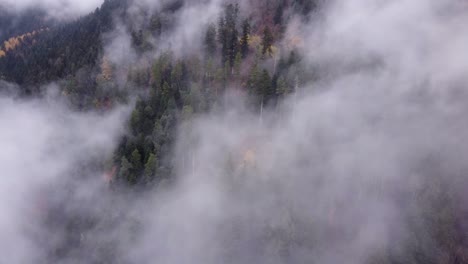 Vista-Aérea-Inclinada-De-árboles-De-Otoño-Tardío-Durante-El-Otoño-Con-Nubes-Pasando-En-Vosges,-Francia