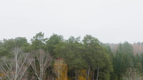 Ein-Luftbild-Panoramablick-Auf-Den-Wald-Am-Frühen-Herbstmorgen-In-Der-Abenddämmerung