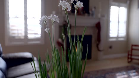 Narcissus-flowers-on-an-end-table-with-a-cozy-fireplace---parallax-sliding-motion