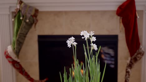 White-narcissus-flowerpot-in-the-foreground-with-a-cozy-fireplace-in-the-background---parallax-motion