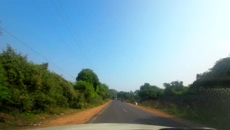 anthambore-national-park-safari-road-Sawai-Madhopur-in-Rajasthan-car-pov