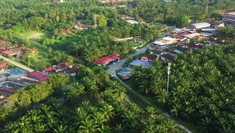Birds-eye-view-flying-above-kampung-china,-residential-neighborhood-with-narrow-streets-at-Seri-Manjung,-Sitiawan-surrounded-by-hectares-of-palm-trees-plantations-by-commercial-business-and-landowner