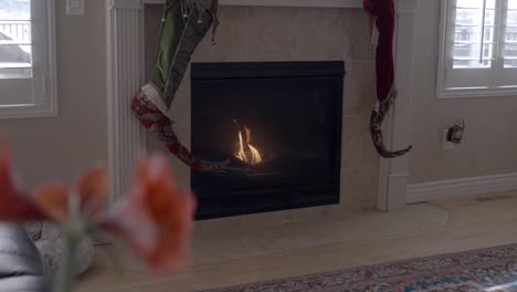 A-cozy-fireplace-the-sliding-left-and-focus-pull-to-amaryllis-flower-on-an-end-table---sliding-motion