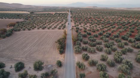 Aerial-tracking-shot-of-cars-crossing-each-other-on-a-beautiful-rural-road-surrounded-by-mountains-carved-through-olive-groves-farmland-in-the-province-of-Malaga,-Spain