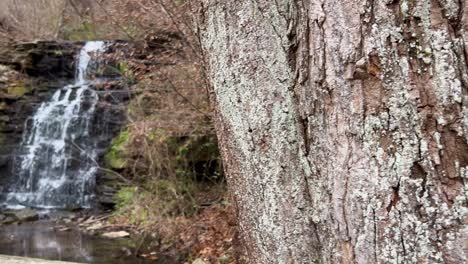 slow-revealing-pan-from-behind-a-tree-to-a-gorgeous-waterfall-flowing-at-cove-spring-park-Frankfort-kentucky-4k