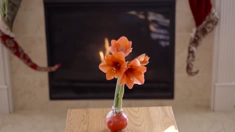 Amaryllis-Blüten,-Die-Aus-Einer-Gewachsten-Glühbirne-Auf-Einem-Beistelltisch-Mit-Einem-Kamin-Im-Hintergrund-Wachsen---Parallaxe-Gleitbewegung