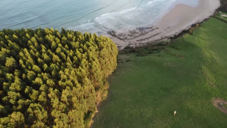 Erstaunlicher-Oyambre-strand-In-Galizien,-Spanien,-Mit-Grünen-Bäumen-Und-Sonnigem-Wetter,-Per-Drohne