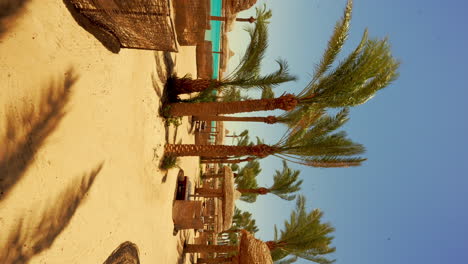 Palm-trees-sway-at-Hurghada-beachfront-resort,-straw-roof-cabanas-vertical-video